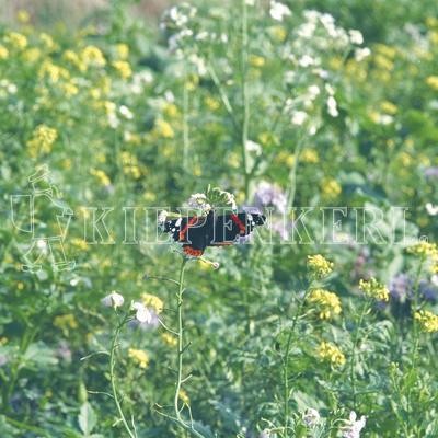 Kiepenkerl Wildschutzmischung WSM 2® 10 Kg