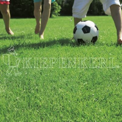 10kg Rasensamen universal Spielrasen Grassamen Rasen Rasensaat Grass