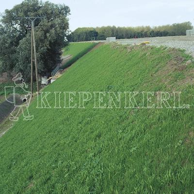 Kiepenkerl Böschungsansaat mit Klee DSV 870 10Kg