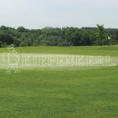 Kiepenkerl RSM 4.2.1 Golfrasen Vorgrün 10 kg Rasensamen