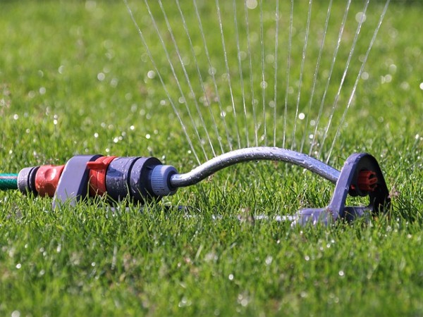 Wie Sie Ihren Rasen Im Sommer Richtig Beregnen Und Fur Ausreichend