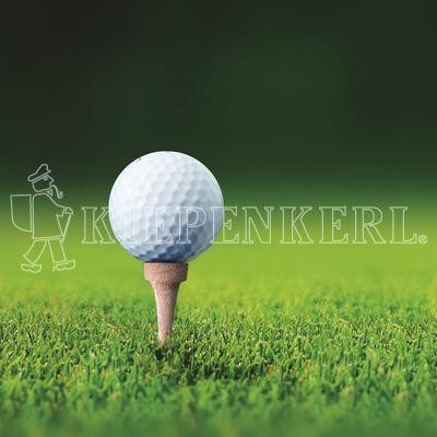 Kiepenkerl RSM 4.3 Golfrasen Abschlag 10 kg Rasensamen