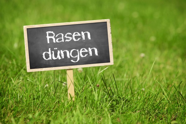 Herbstserie 2019 Vertikutieren Und Dungen Im Herbst Rasensamen