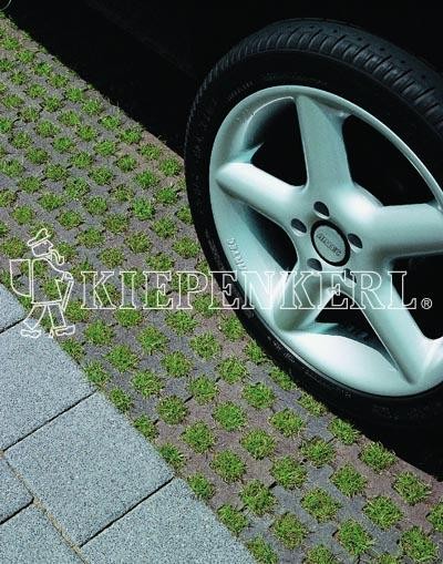 Kiepenkerl DSV RSM 5.1.1 Parkplatzrasen ohne Achillea 10 kg Rasensamen