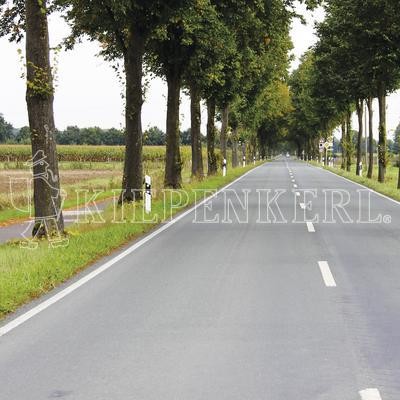 Kiepenkerl Straßenbegleitgrün DSV 820 10 kg