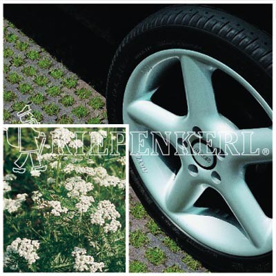 Kiepenkerl RSM 5.1.1 Parkplatzrasen mit 2 Prozent Achillea 10 kg Rasensamen
