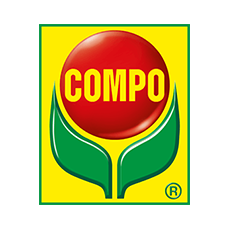 Compo